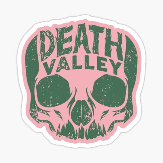 Discover Death Valley Skull-Pink