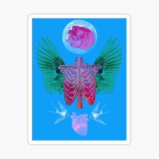 Discover Head Over Heart