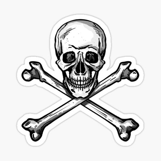 Discover skulls