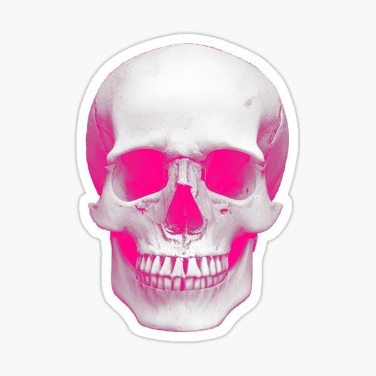 Discover Pink Skull