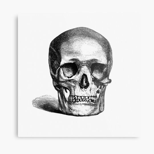 Discover Halloween Skull Design | Trick or Treat