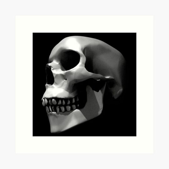 Discover Human Skull - Right Side