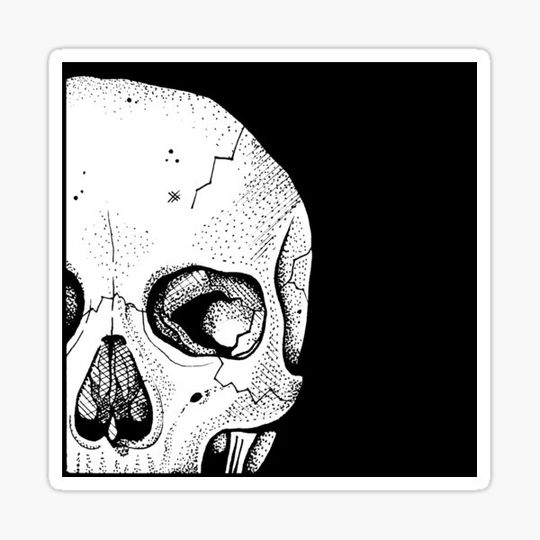Discover Skull Design