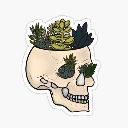 Discover Succulent Skull
