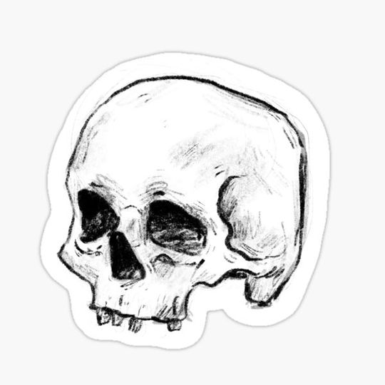 Discover Skull Design