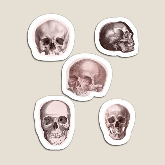 Discover Vintage Skulls 1800s
