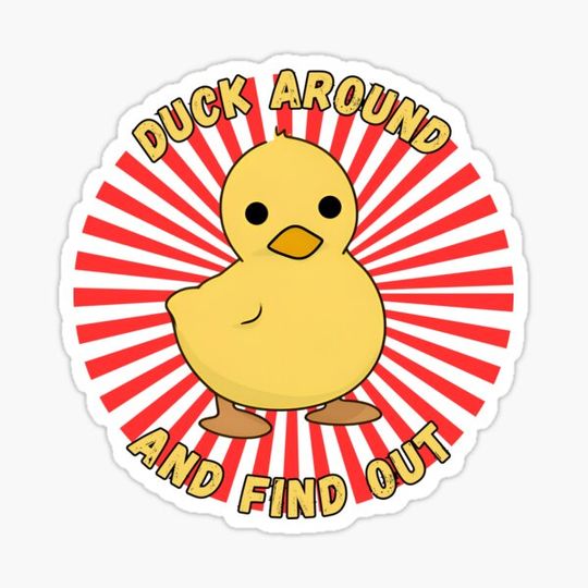 Discover Duck Around And Find Out Funny Duck Meme