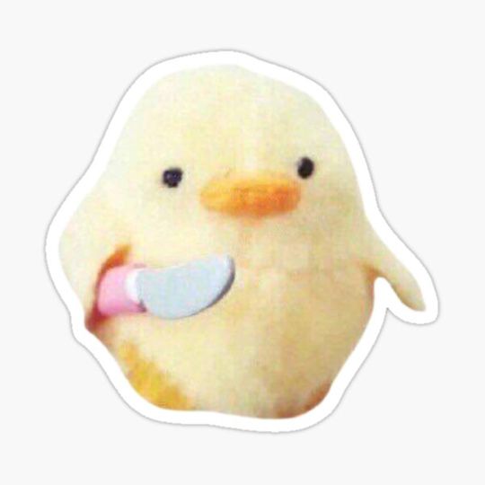Discover armed chick