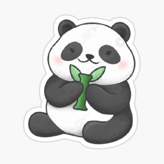 Discover Cute Panda