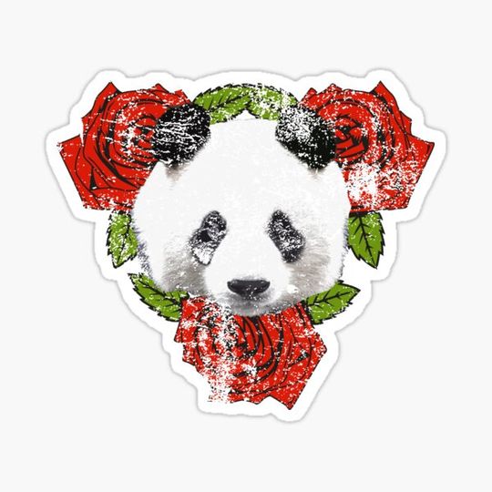 Discover Pandas and Roses