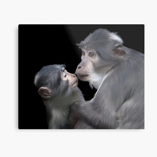 Discover Mommy ... do you love me?