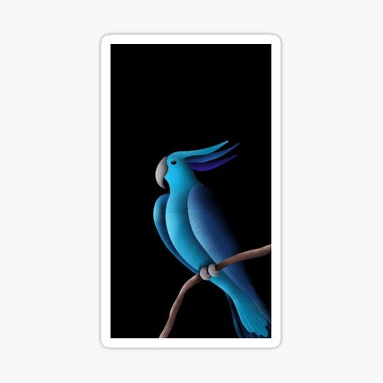 Discover Blue Parrot