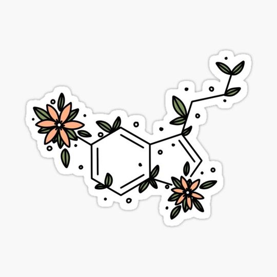 Discover Serotonin
