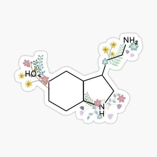 Discover Serotonin flowers