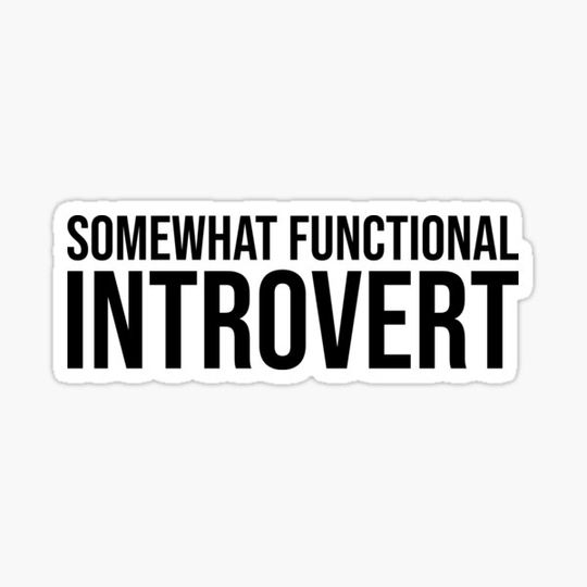 Discover funny Somewhat Functional Introvert