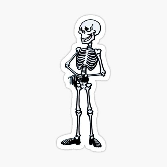 Discover Shy Complete Skeleton!