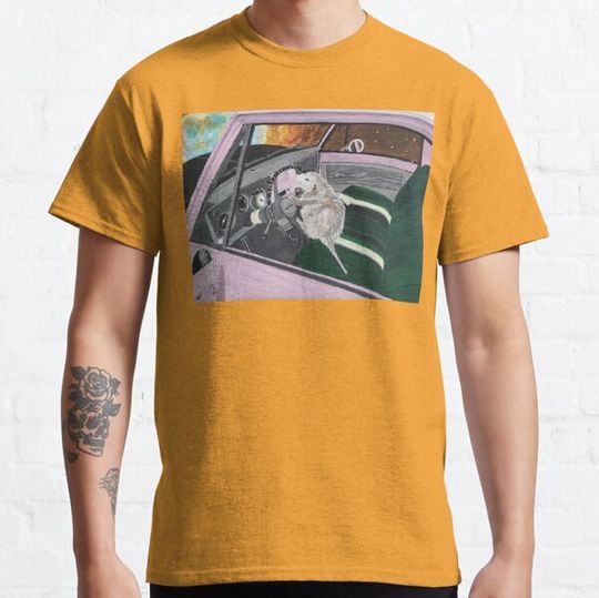 Discover Joyride, Opossum Painting