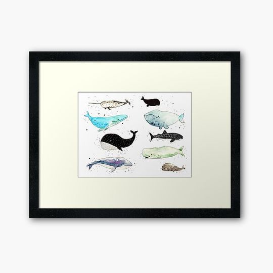 Discover Whales!