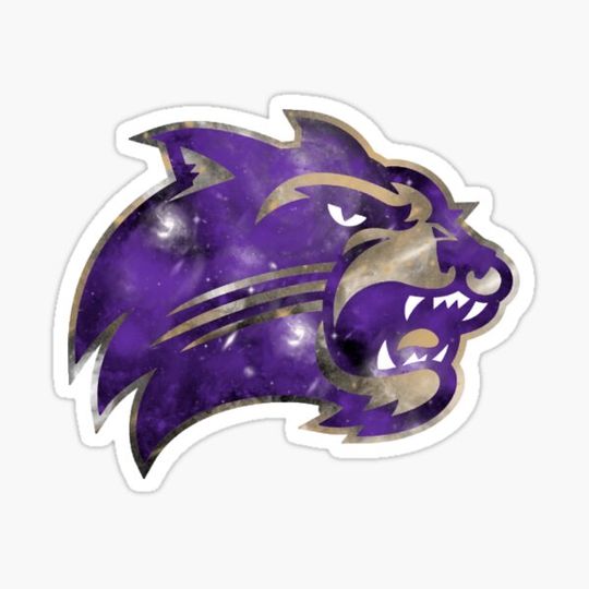 Discover Western Carolina Galaxy Logo