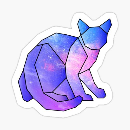Discover galaxy glass cat