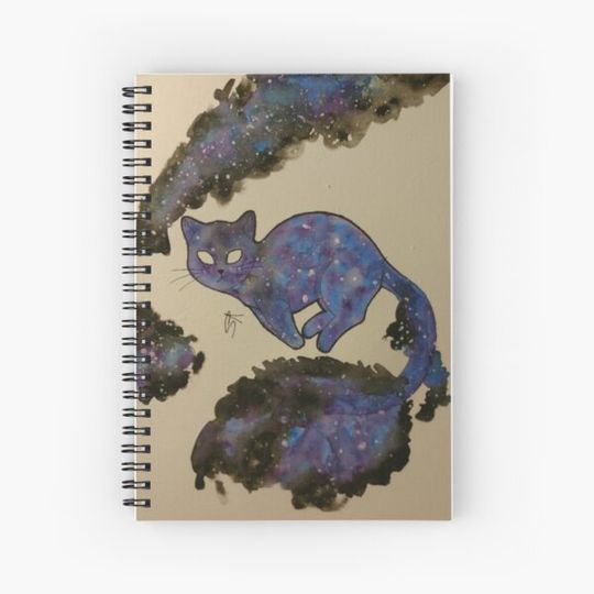 Discover Galaxy Cat