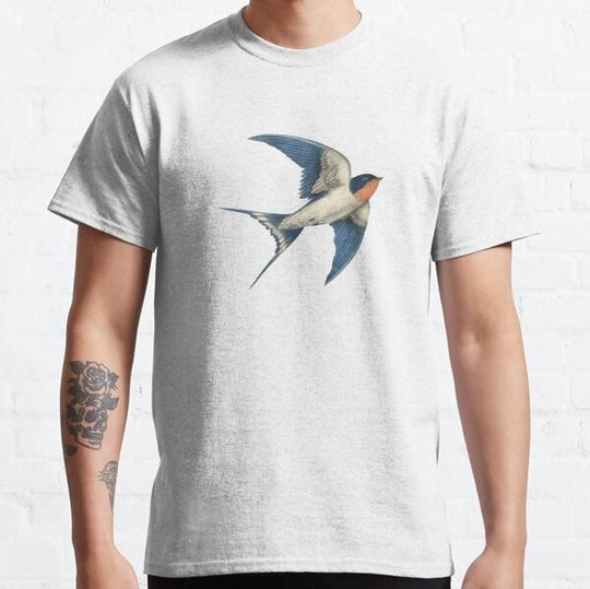 Discover Barn Swallow