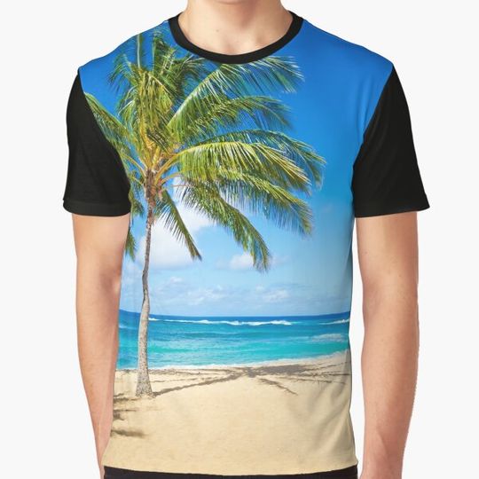 Discover Palm trees on the sandy beach in Hawaii
