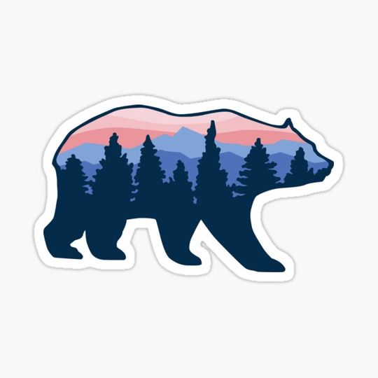 Discover Bear roaming forrest