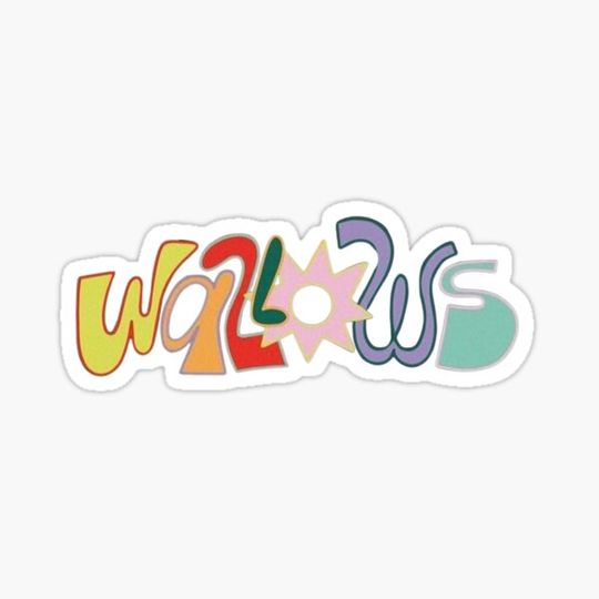Discover Wallows Band Vintage Colorful