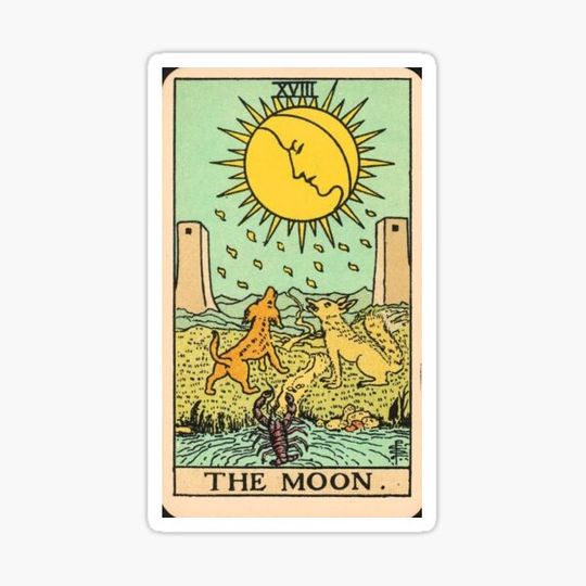 Discover TAROT MOON