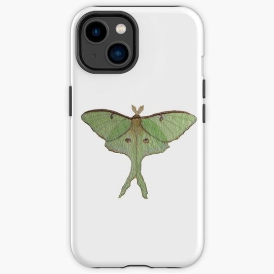 Discover Luna Moth