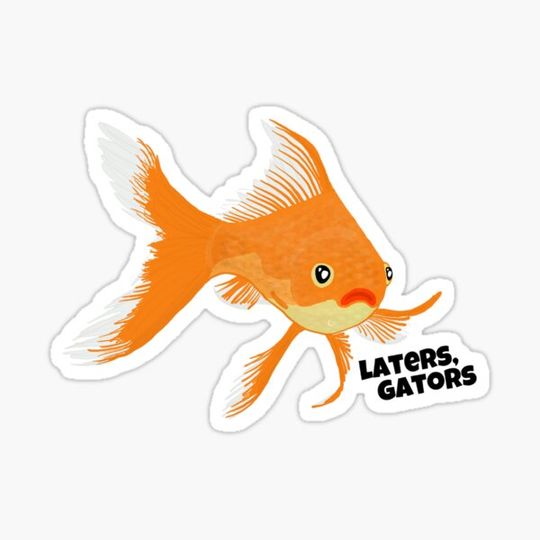 Discover Gus the One-Finned Wonder