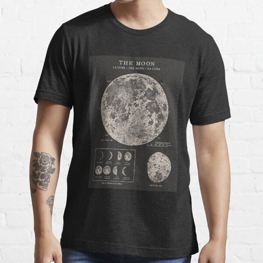 Discover Moon Phases