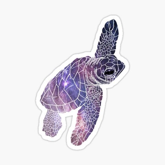 Discover Space Sea Turtle
