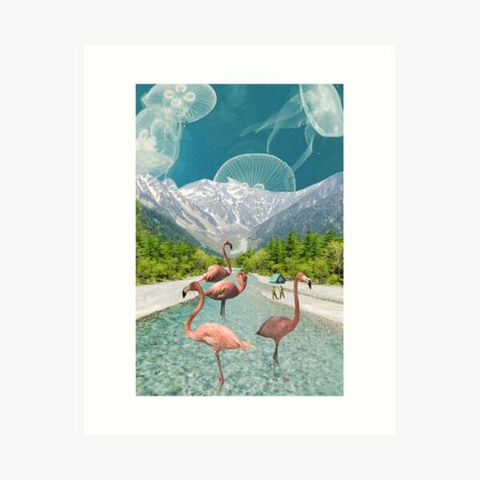 Discover Flamingo River
