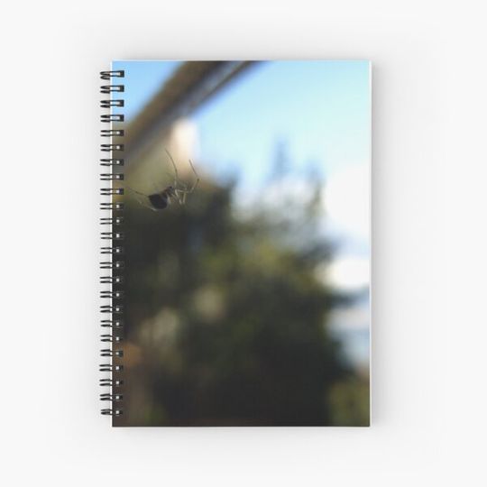 Discover Floating spider