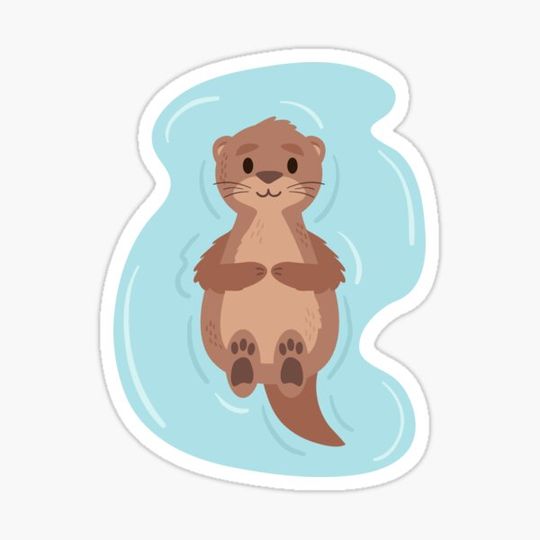 Discover Floating Baby Sea Otter