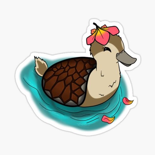 Discover Turtle Duck