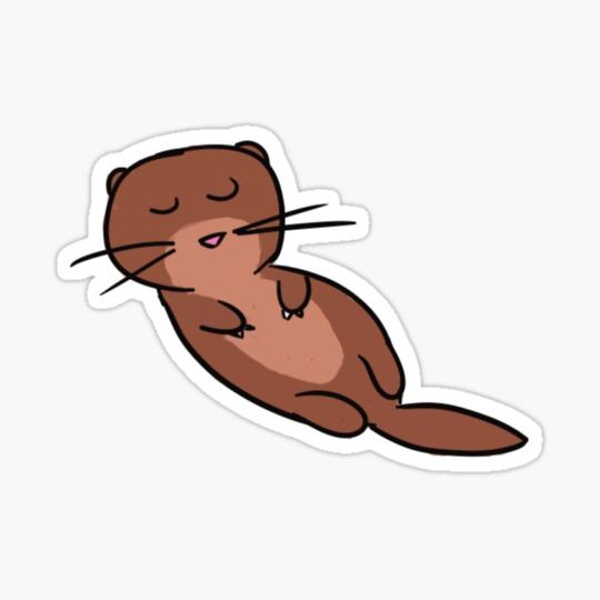 Discover Otter