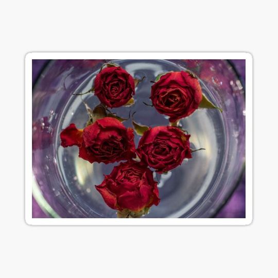 Discover Floating Flowers