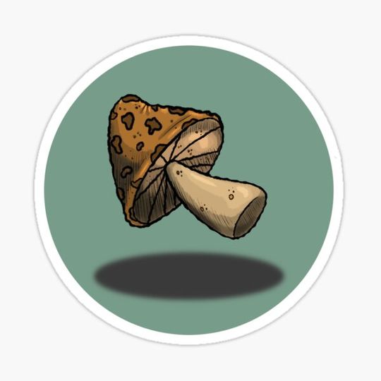 Discover Floating Mushroom