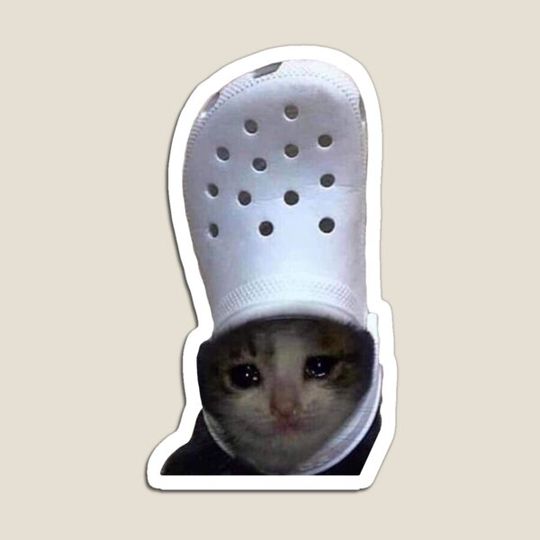 Discover Sad Cat Croc