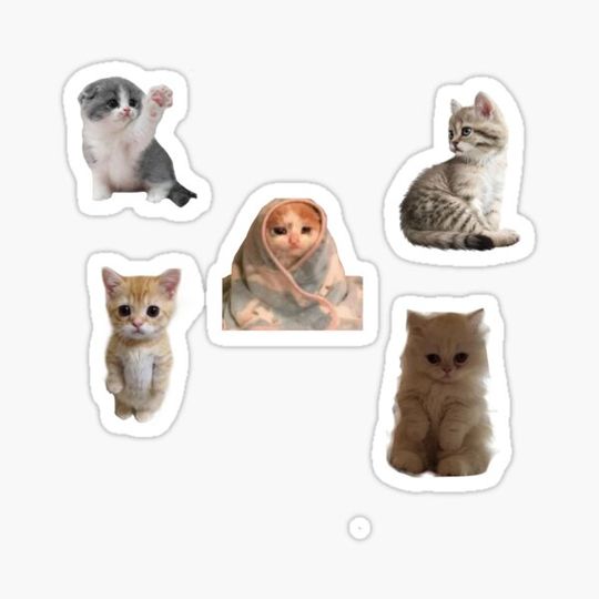 Discover Love cats