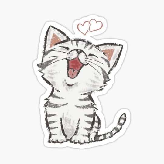 Discover Kitten