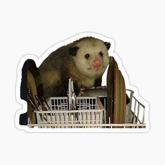 Discover Dishwasher Opossum Meme