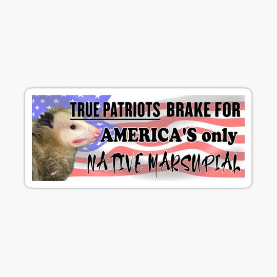 Discover Funny Possum Bumper Sticker - I brake for America's only native marsupial