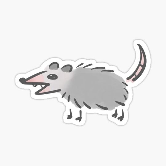 Discover opossum