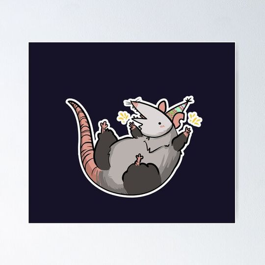 Discover Party Possum