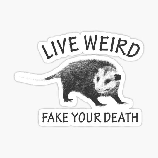 Discover Live Weird  Your Death Possum