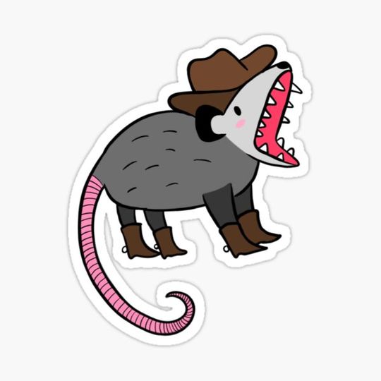 Discover Cowboy Opossum